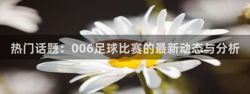 热门话题：006足球比赛的最新动态与分析